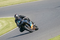 Middle Group Multicolour Bikes